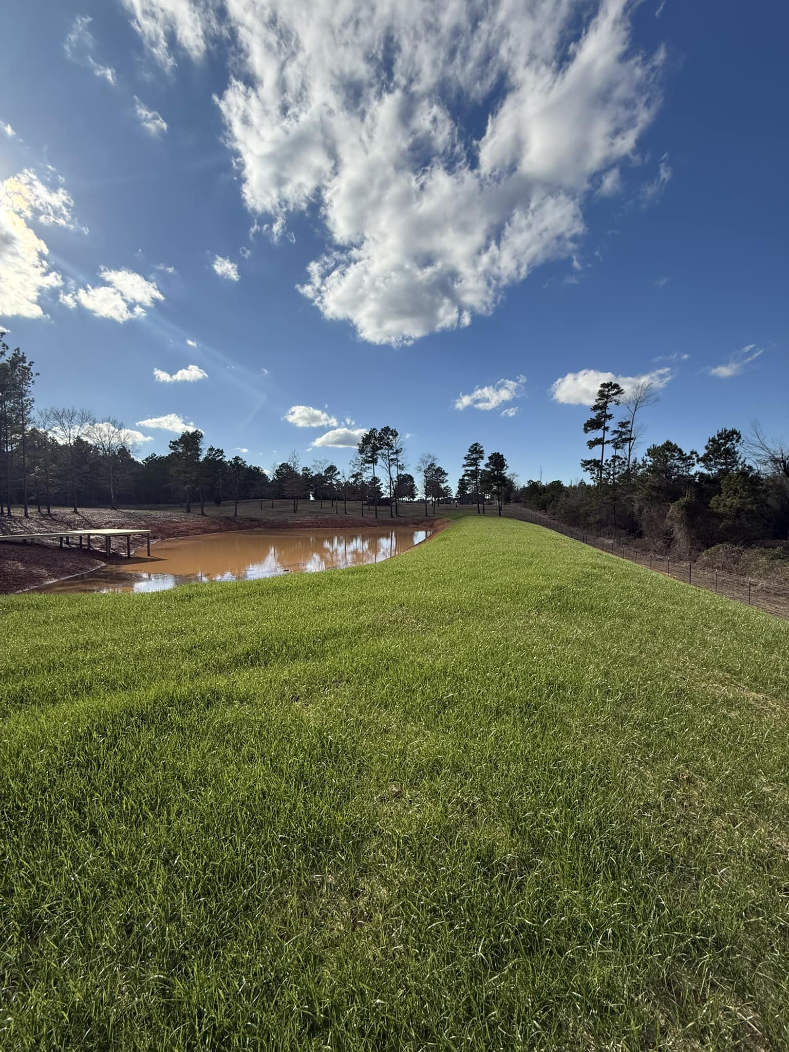 6 weeks post hydroseed application on top of pond dam.